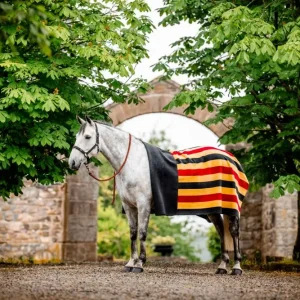 Newmarket Fleece Square, witney/gold Markenprodukt